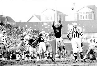 Butkus51002